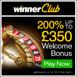 Winner Club Casino review