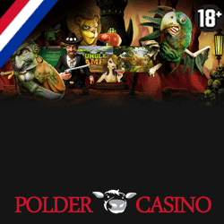 Polder Casino review