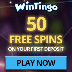 WinTingo Casino review